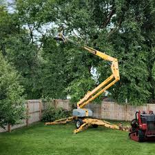 Best Commercial Tree Services  in Dillsburg, PA